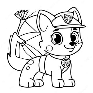 Liberty Paw Patrol Ævintýri Litabók Litasíður
