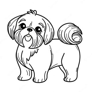 Shih Tzu Litabok 112700-48780