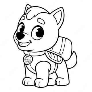 Ryder Paw Patrol Litabok 114631-50399