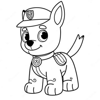 Rokkur Paw Patrol Litabok 116387-51923