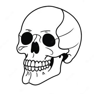 Tomur Skalli Skyringarmynd Litabok 122297-56850