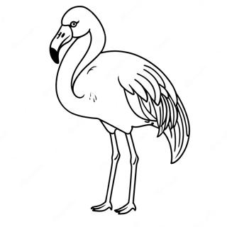 Fagur Flamingo Ad Standa A Einni Faetinum Litabok 25711-5602