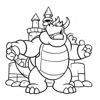 Bowser Litasíður