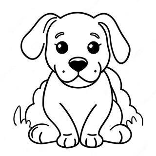 Pupstruction Litabók Litasíður