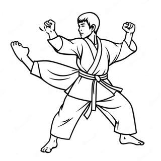 Karate Litabok 99985-38666